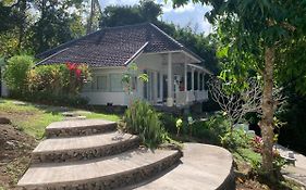 Balian Bliss Retreat Resort - Adults Only