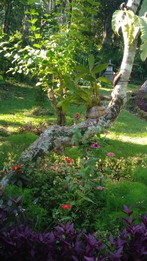 Balian Bliss Retreat Resort - Adults Only Bagian luar foto