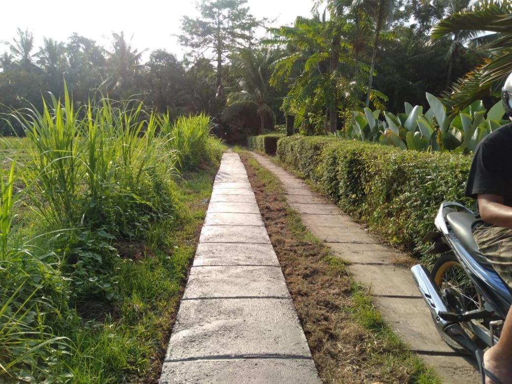 Balian Bliss Retreat Resort - Adults Only Bagian luar foto