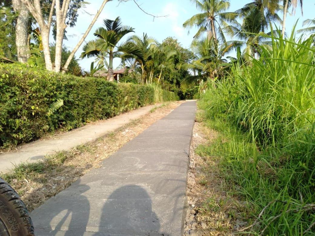 Balian Bliss Retreat Resort - Adults Only Bagian luar foto