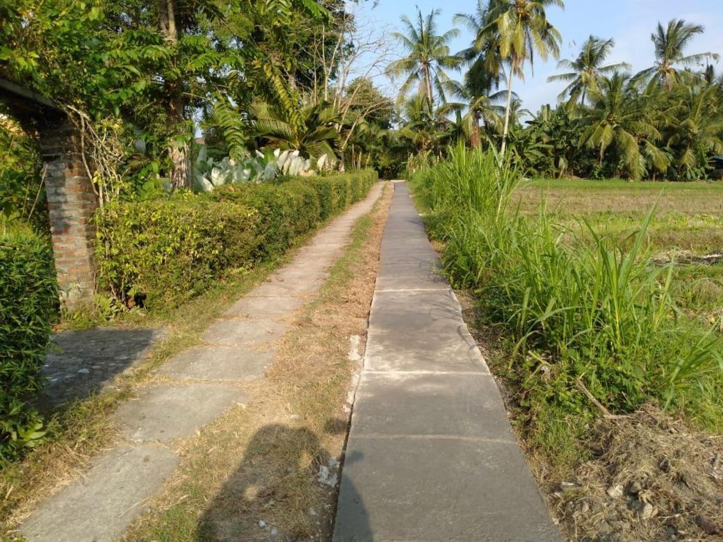Balian Bliss Retreat Resort - Adults Only Bagian luar foto
